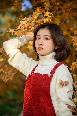 私人在线观看免费高清电视剧