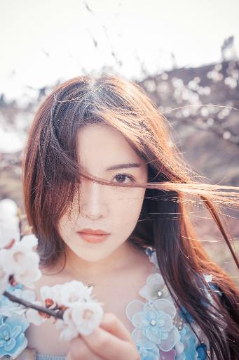 青青河边草免费高清电影